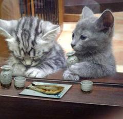 まあ一杯