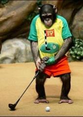 猿ゴルファープロ へのボケ ボケて Bokete