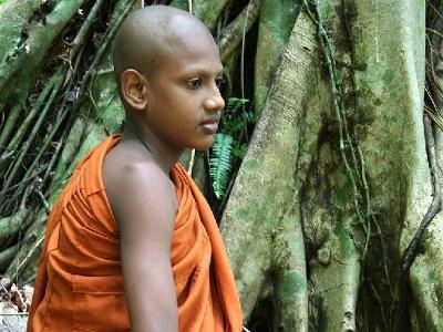 晩ごはんのレパートリーが 少なすぎるんだ・・・ ジャングルへのボケ[189663] ボケて（bokete）