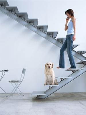 2013年02月20日朝ごろに投稿された釈迦さんのお題 ボケて(bokete)